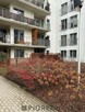 3-pokojowe mieszkanie w Ząbkach - 7