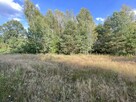 Działka budowlana Ostojów gm. Suchedniów, - 12