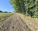 Działka budowlana Głębowice gm. Osiek, Oświęcimska - 6