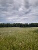 Działki budowlane - 6