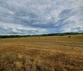 Działka rolna 90 065 m2 pod lasem - 4