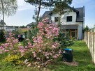 Sprzedam dom jednorodzinny, blisko miasta i ośrodka wyp. - 2
