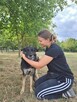 Suzi-delikatna średniej wielkości suczka do adopcji - 8