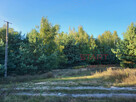 Działka rolna Borszyce gm. Kowiesy, - 8