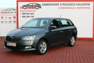Škoda Fabia AMBITION 1.0 TSI 95KM Salon Polska GWARANCJA i RAPORT SelectCar+ FV23% - 2