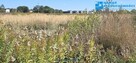 Działka Falenty Duże, optymalna powierzchnia 900m2 - 2