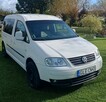 Volkswagen Caddy long do przewozu osób niepełnosprawnych - 5