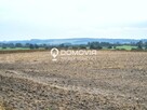 Dom Suchowola gm. Adamów - 7