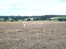 Dom Suchowola gm. Adamów - 8
