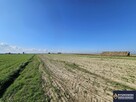 Działka rolno-budowlana Siedliska Kolonia gm. Zamość - 2