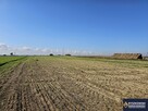 Działka rolno-budowlana Siedliska Kolonia gm. Zamość - 4