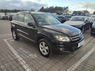 Volkswagen Tiguan Ksenon 4x4 krakjowy - 15