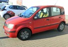 Fiat panda - 6
