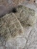 Sprzedam siano - 4