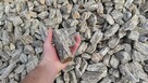 Grys granitowy 8-16mm. Dalmatyńczyk / Sól i Pieprz Szary! - 9
