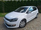 Polo Cool Trendline - 1