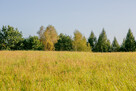 Działka widokowa Łysa Góra - gm. Dębno! - 9