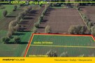 Działka rolna w Krzewsku gm. Markusy - 5191 m.kw. - 8
