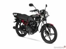 Nowy Motocykl Ferro 125 | na Gaźniku Ostatnie Sztuki! - 8