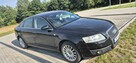 AUDI Zadbane - 4