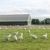 Siatka budowlana zielona 1,5 h , 15 m szerokości - 2