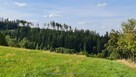 Na sprzedaż działki budowlane Świerki - 4