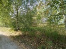 Działka budowlana Bilcza gm. Morawica, Świętokrzyska - 9