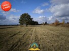 Działka rolna Nowe Wągrodno  gm. Prażmów - 1