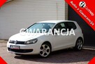 Volkswagen Golf Klimatyzcja /Gwarancja / 1,4MPI /80KM /2009 - 1