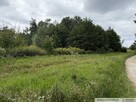 Działka 30 ar, Gołęczyna, gm. Pilzno - 6