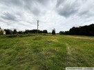 Działka 30 ar, Gołęczyna, gm. Pilzno - 7
