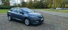 Renault Megane Lift, krajowy, pierwszy właściciel. - 3