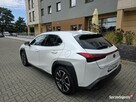 Lexus UX 250H Omotenashi /Mark Levinson - 9