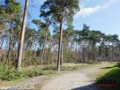 Najlepsza oferta na Mierzei I 900m od plaży I komplet - 1