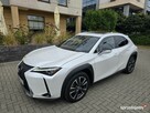 Lexus UX 250H Omotenashi /Mark Levinson - 1