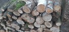 Sprzedam drewno opałowe Twarde mieszane (Brzoza, Dąb, Grab( - 4