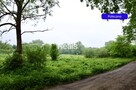 Dla inwestora 2 ha Skierdy, Jabłonna. - 8