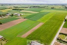 Działka budowlana Piotrowice Wielkie gm. Garbów - 6