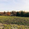 Działka budowlana Jastków - 5