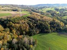 Działka leśna Łęki Górne gm. Pilzno - 7