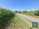 Działka budowlana Bodzanów gm. Biskupice, - 6