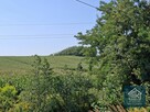 Działka budowlana Bodzanów gm. Biskupice, - 10