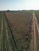 Sprzedam działkę budowlaną w Maruszewie - 10