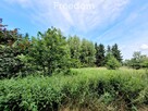 Działka z WZ  w otulinie natury – Kodrąbek 1607m2 - 5