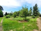 Działka z WZ  w otulinie natury – Kodrąbek 1607m2 - 6