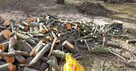 WARSZAWA KOMPLEKSOWA WYCINKA DRZEW I ALPINISTYKA - 10