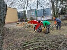 WARSZAWA KOMPLEKSOWA WYCINKA DRZEW I ALPINISTYKA - 11