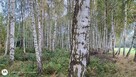 Piękna działka nad Wkrą - 10