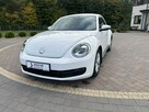 Volkswagen Beetle - 3