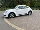 Volkswagen Beetle - 5